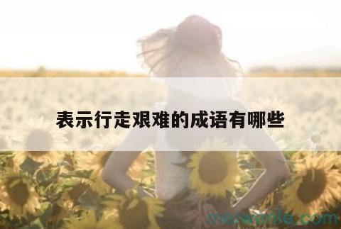 形容“艰难前行”的成语有哪些？( 形容“艰难前进”的成语有哪些)