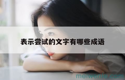 形容勇于尝试的成语和四字词语，名言句子( 是表示尝试的勇气的熟语和四字熟语，名言)