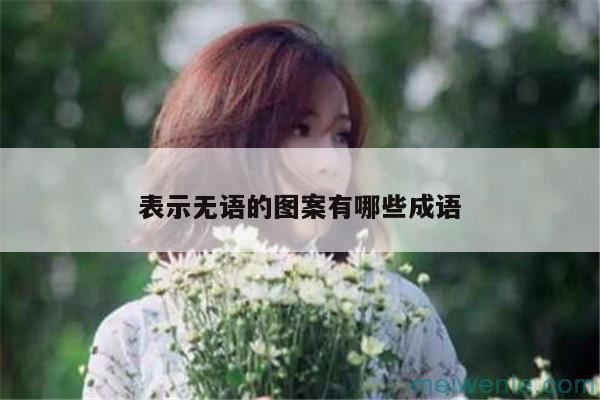 表示无语的成语( 无言成语)