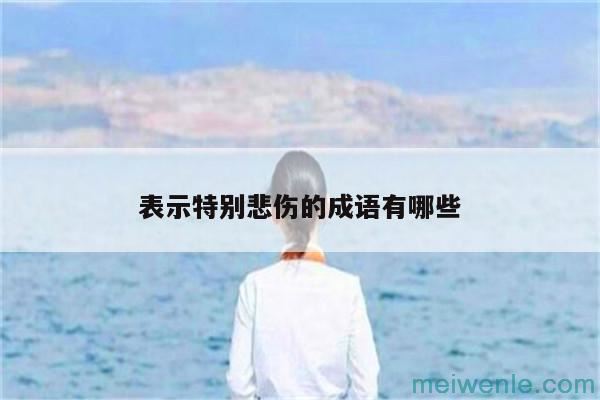 表示悲伤的四字成语有哪些( 表示悲伤的四字成语有哪些)