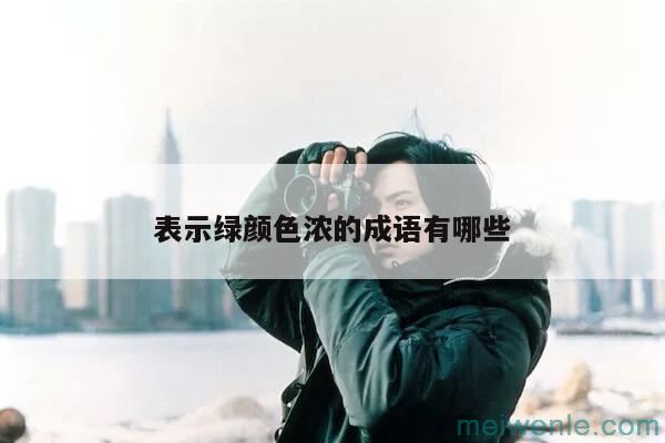 表示绿的颜色浓 ,绿的时间长 ,绿的范围广 的四字词语( 它是一个四字词，表示绿色颜色深、绿色时间长、绿色范围广)