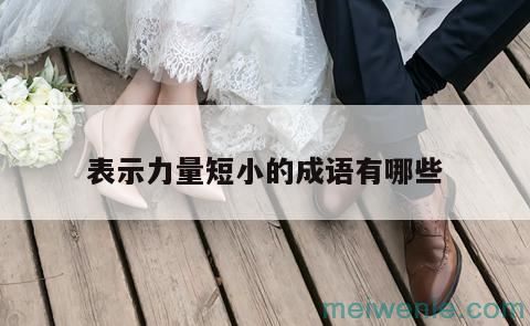 比喻力量太小、无济于事的成语分别有哪些？( 力量太小，一无是处的成语各有哪些)