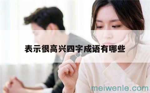 形容高兴的四字词语有哪些？( 表示高兴的四个字有哪些)