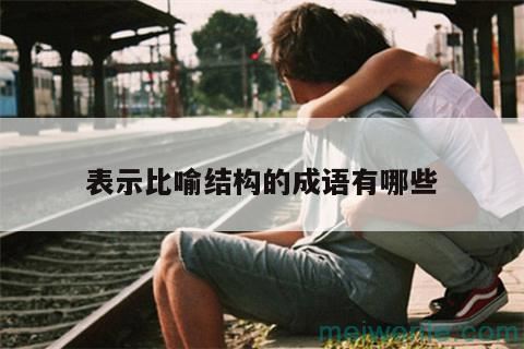 比喻结构的四字成语( 比喻结构的四字成语)