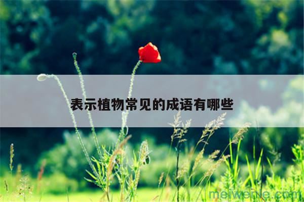 用什么成语形容鸡的勤劳( 形容鸡勤奋的成语是什么)