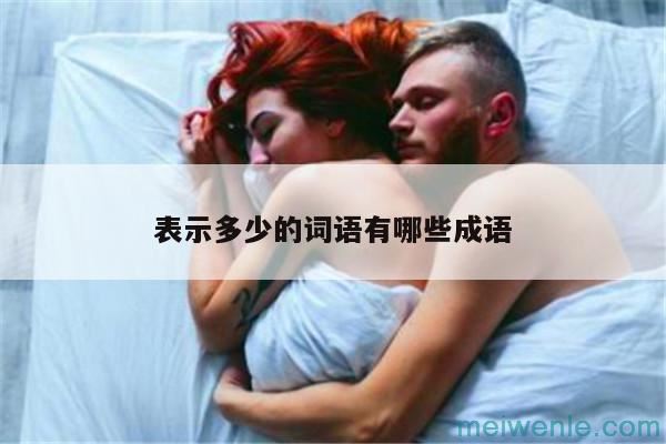 表示数量很多的词语有多少有什么( 它代表了有几个数量众多的词)