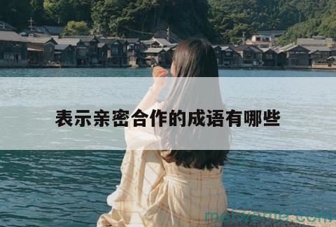 团结合作的成语( 是团结合作的成语)