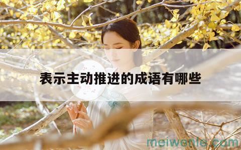 关于才艺的成语( 它是一个关于隐秘技艺的熟语)