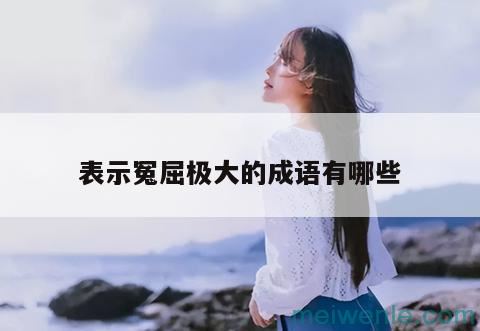 四字成语关于冤屈的( 它是一个关于冤案的四字成语)