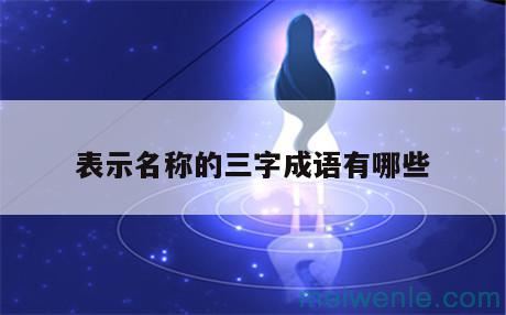 表示名称的成语有什么( 表示名字的熟语是什么)