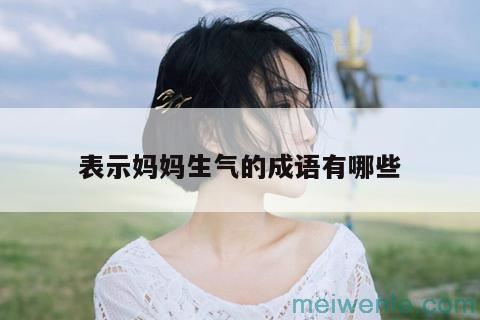 妈妈生气的成语有哪些( 妈妈生气的成语有什么)