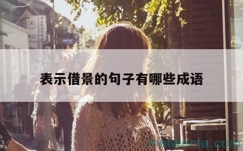 关于借景抒情的成语( 是关于借景抒情的熟语)