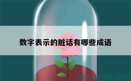 数字表示脏话的有什么( 用数字表示坏话的东西是什么)