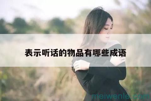 表示人物品质的四字成语( 表示人物品性的四字成语)