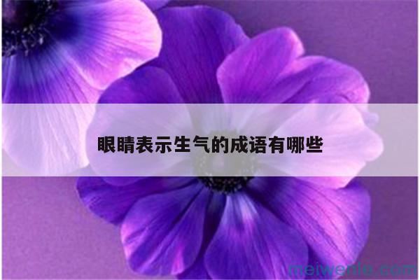 形容很生气,瞪大眼睛的成语？( 是表示生气、睁大眼睛的词语吗)