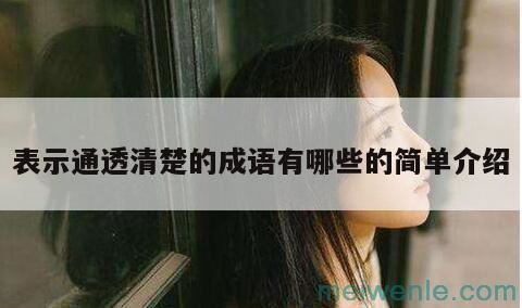 形容“通透”的词语有哪些？( 有哪些词可以形容为“通透”)