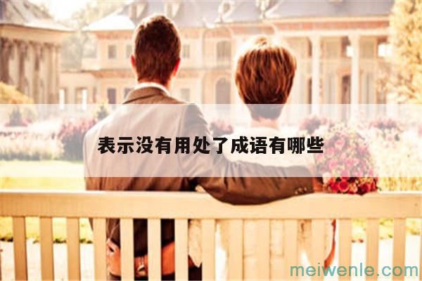 形容没有一点用处的成语有哪些？( 訳文：有什么成语一无是处)