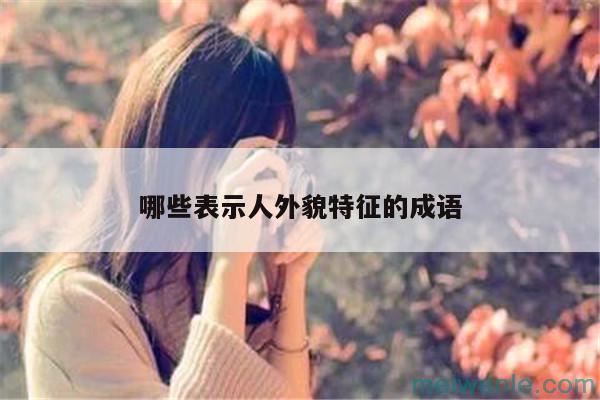 形容人外貌的成语( 形容人外表的成语)