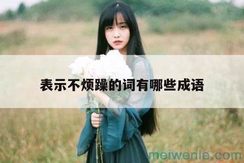 形容眼睛“看不清”的成语有什么？( 形容眼睛看不清的成语有什么)