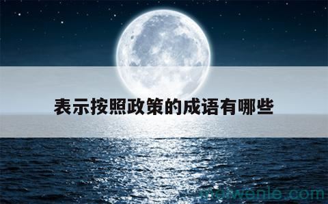 表示严格按照规章制度办事的成语有哪些？( 表示严格遵守规章制度的成语是什么？)