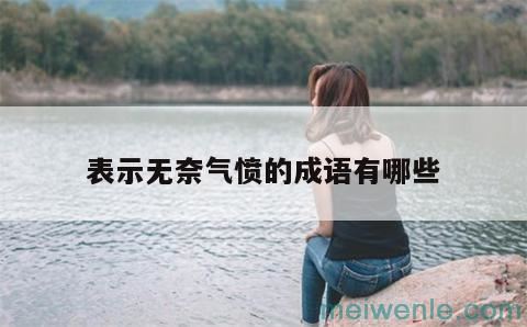 表示很愤怒又无可奈何词语有哪些？( 有什嚒词语可以表示愤怒无奈)