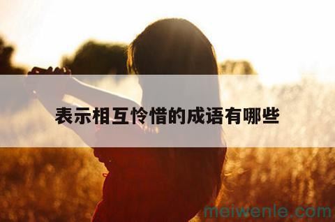 形容“怜爱”的成语有哪些？( 形容“可爱”的四字成语有哪些)