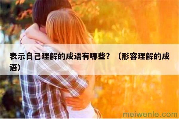 表示自己理解的成语有哪些？（形容理解的成语）