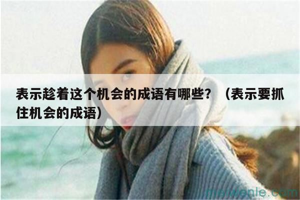 表示趁着这个机会的成语有哪些？（表示要抓住机会的成语）