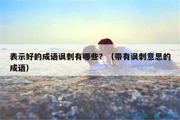表示好的成语讽刺有哪些?(带有讽刺意思的成语)