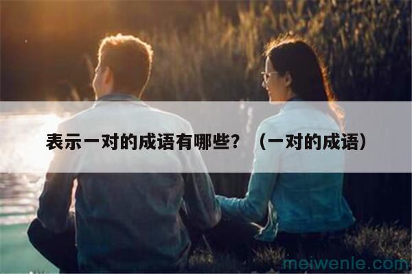 表示一对的成语有哪些?(一对的成语)
