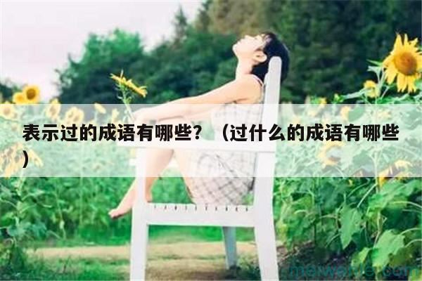 表示过的成语有哪些？（过什么的成语有哪些）