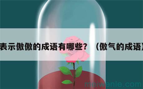 表示傲傲的成语有哪些？（傲气的成语）