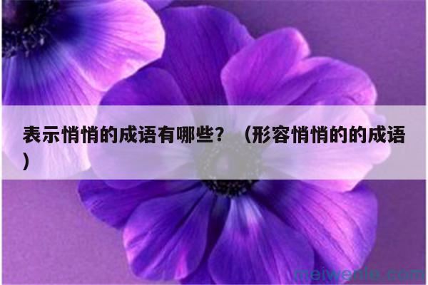 表示悄悄的成语有哪些？（形容悄悄的的成语）