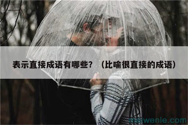 表示直接成语有哪些？（比喻很直接的成语）