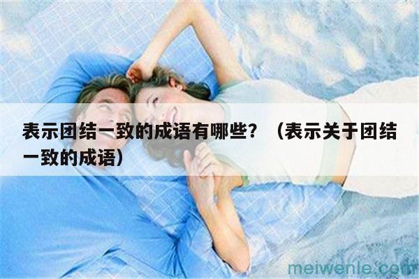 表示团结一致的成语有哪些？（表示关于团结一致的成语）