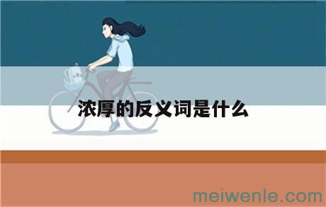 浓厚的反义词是什么