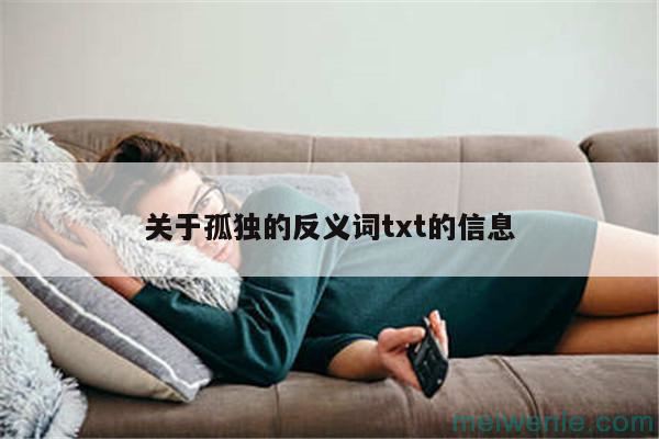 孤独的反义词txt