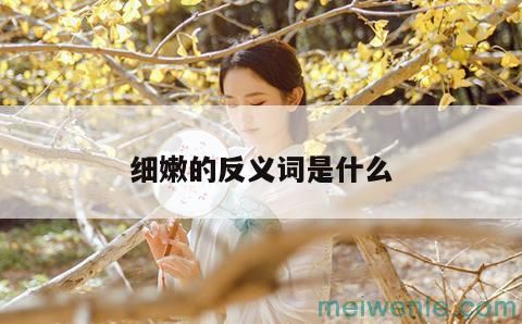 糟粕的反义词一年级