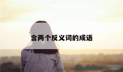 含两个反义词的成语