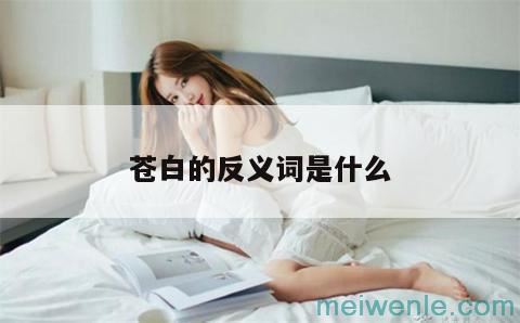 苍白的反义词是什么