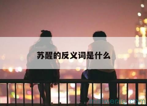 收集的反义词是什么