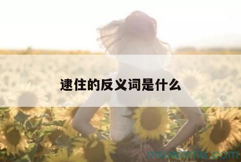 弥漫的反义词一年级