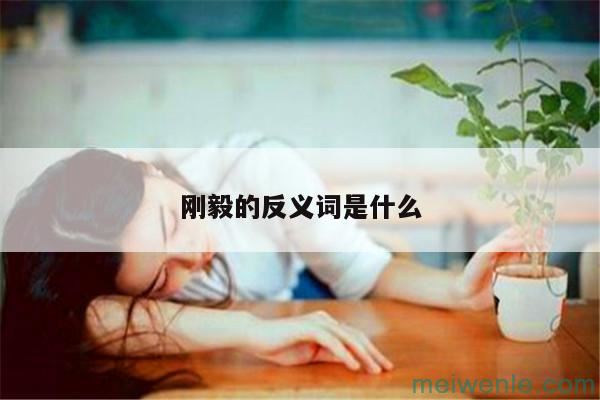 刚毅的反义词是什么