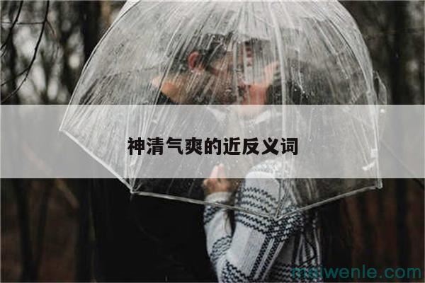 机智的反义词是什么